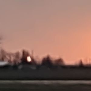 Meet your Posher, Dorothy